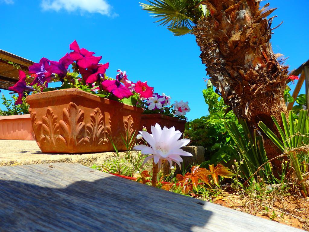 Baglio Cofano Rooms & Relax Custonaci Exterior foto